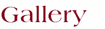 ギャラリー